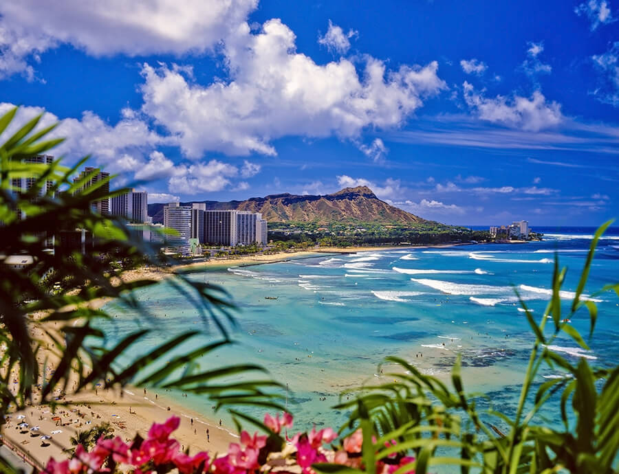 aloha sunshine tours