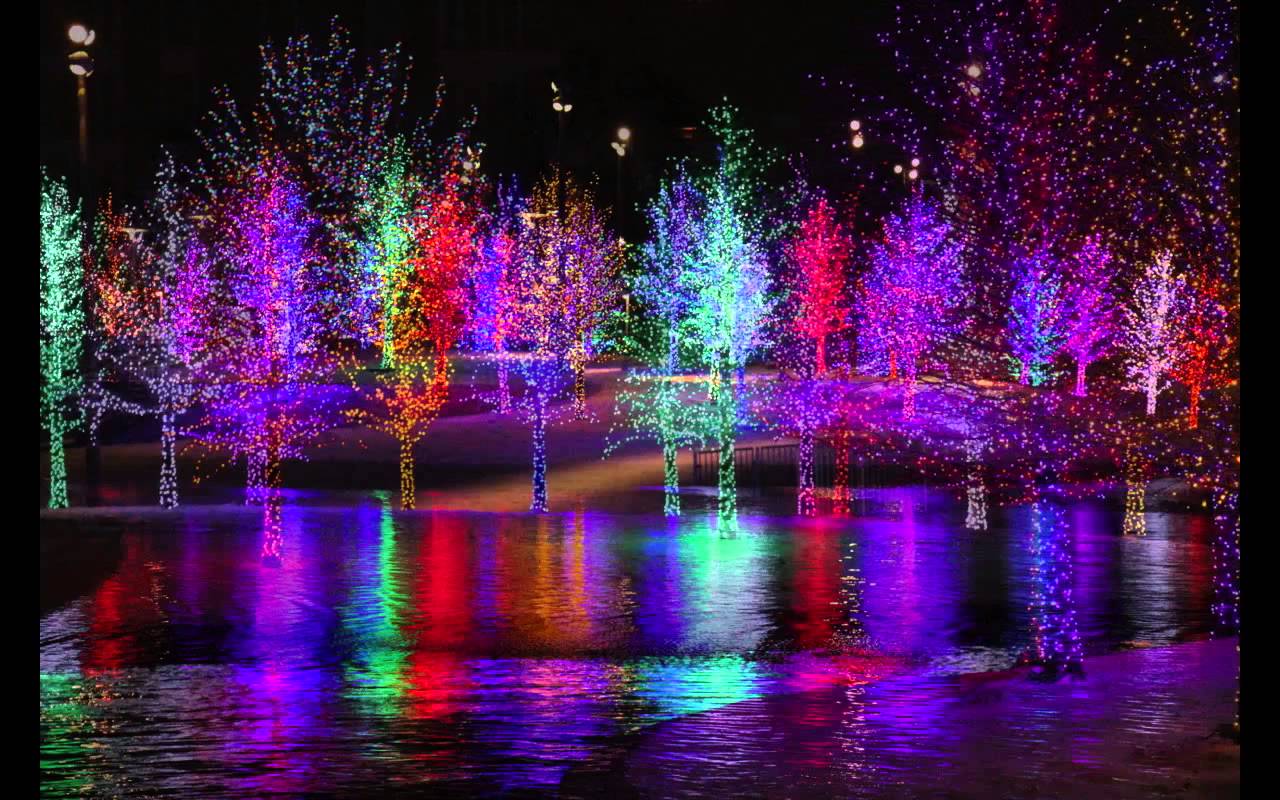 Tanglewood christmas lights online