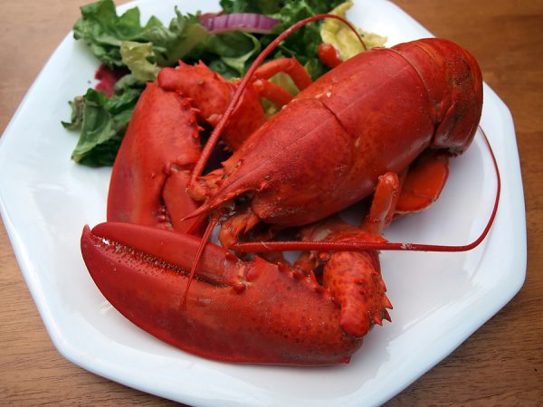 lobster New England style dinner