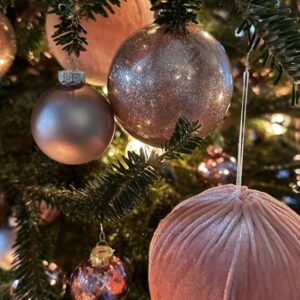 CHARLESTON SAVANNAH CHRISTMAS TIME (Area6)