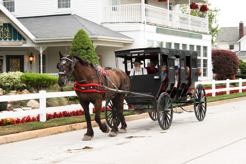 indiana amish tour