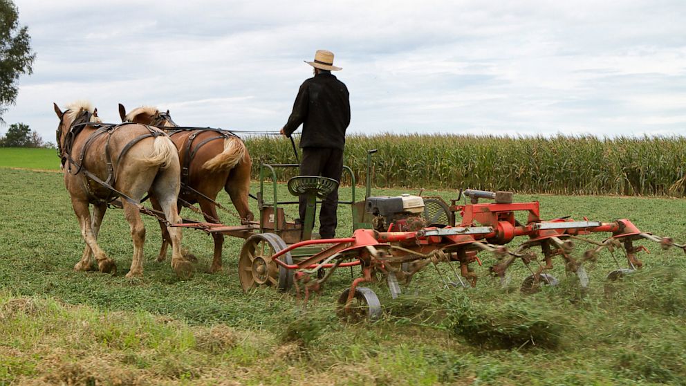 amish country tours ohio