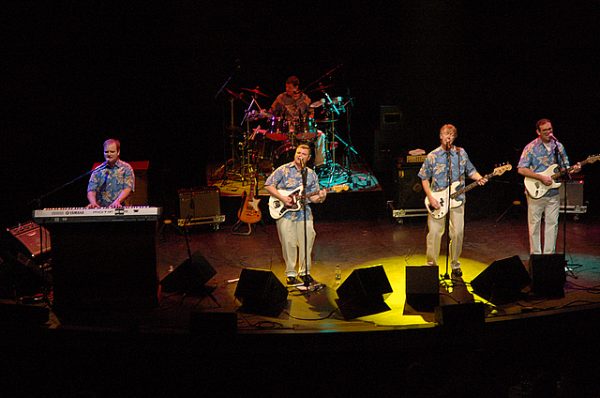 Still Surfin Band