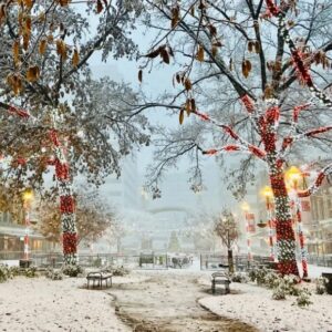 ULTIMATE TENNESSEE CHRISTMAS