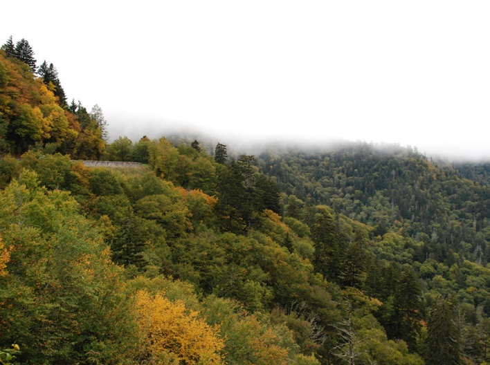 Tennessee - Moonshiners Tour and Dollywood