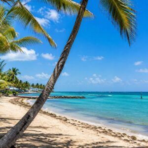 FLORIDA GRAND TOUR KEY WEST (Area 6)